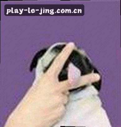 张帆
